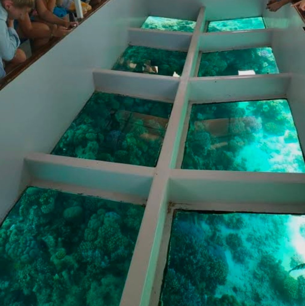 Glassbottomboat