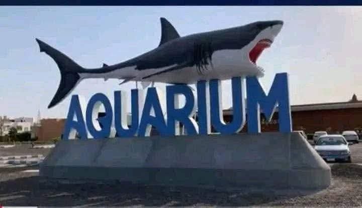 Grand aquarium
